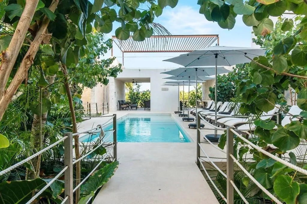 Akumal Bay With Access To The Beach 7 Rooftop Pools Appartement