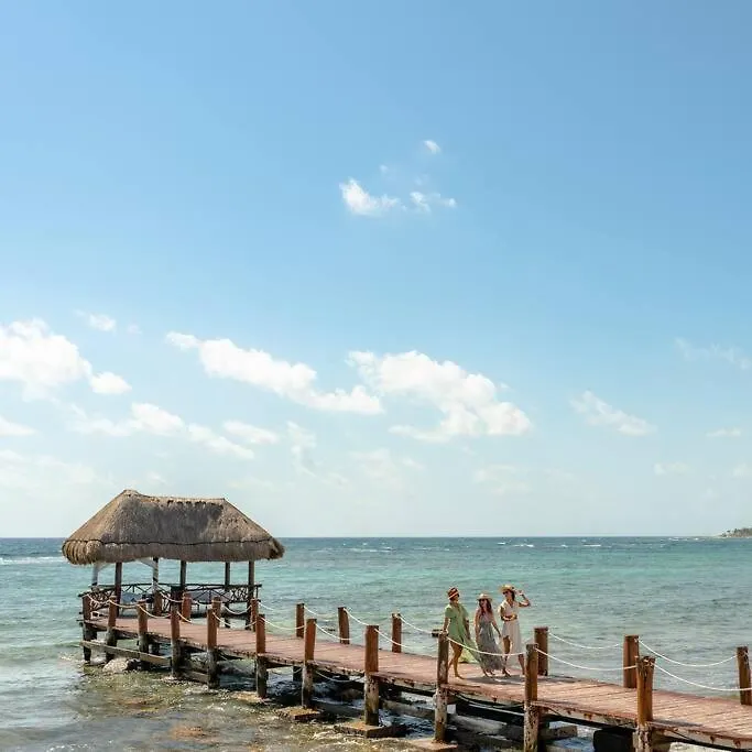 Akumal Bay With Access To The Beach 7 Rooftop Pools Appartement